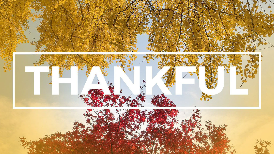 thankful-for-our-many-blessings-daily-devotionals-fairhope-umc